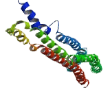 Chromosome 12 Open Reading Frame 60 (C12orf60)