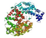 Coiled Coil Domain Containing Protein 175 (CCDC175)