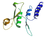 Chromosome 17 Open Reading Frame 104 (C17or<b>f104</b>)