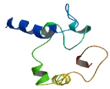 Transmembrane Protein 256 (TMEM256)