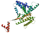 Coiled Coil Domain Containing Protein 170 (CCD<b>C170</b>)