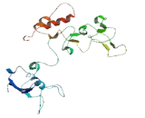 Chromosome 9 Open Reading Frame 171 (C9orf171)