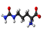 Citrulline (Cit)