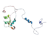 Clathrin, Light Polypeptide B (CLTB)