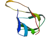 Cluster Of Differentiation 3d (CD3d)