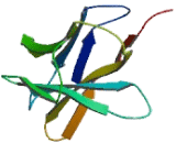 Cluster Of Differentiation 8a (CD8a)