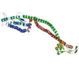 Coiled Coil Domain Containing Protein 102A (CCD<b>C102</b>A)