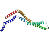 Coiled Coil Domain Containing Protein 102B (CCDC102B)