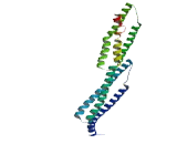 Coiled Coil Domain Containing Protein 103 (CCD<b>C103</b>)