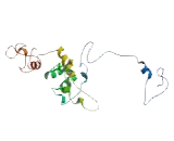 Coiled Coil Domain Containing Protein 106 (CCDC106)