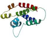 Coiled Coil Domain Containing Protein 109B (CCD<b>C109</b>B)