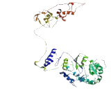 Coiled Coil Domain Containing Protein 111 (CCD<b>C111</b>)