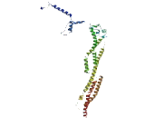 Coiled Coil Domain Containing Protein 112 (CCD<b>C112</b>)