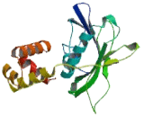 Coiled Coil Domain Containing Protein 113 (CCD<b>C113</b>)