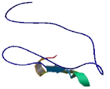 Coiled Coil Domain Containing Protein 116 (CCD<b>C116</b>)