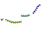 Coiled Coil Domain Containing Protein 125 (CCDC125)