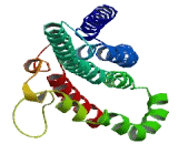 Coiled Coil Domain Containing Protein 127 (CCD<b>C127</b>)