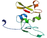 Coiled Coil Domain Containing Protein 134 (CCD<b>C134</b>)