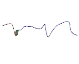 Collagen Type XII (COL12)