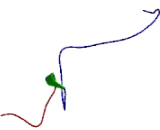 Collagen Type XVI (COL16)