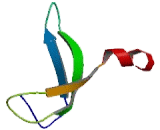 Complement Factor I (CFI)