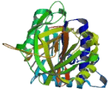 Corticosteroid Binding Globulin (CBG)