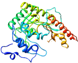 Creatine Kinase, Muscle (CKM)