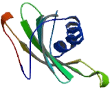 Cystatin A (CSTA)