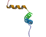 Cytochrome C Oxidase Subunit VIc (COX6c)