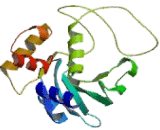Cytokine Inducible SH2 Containing Protein (CISH)