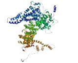 Cytoplasmic FMR1 Interacting Protein 2 (CYFIP2)