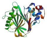 Deoxyribonuclease I Like Protein 3 (DNASE1L3)