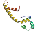 Diacylglycerol-O-Acyltransferase Homolog 1 (DGAT1)