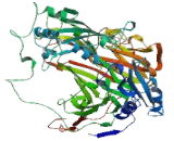 Amiloride Binding Protein 1 (ABP1)