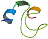 Dicarboxylate Transporter, Mitochondrial (DIC)