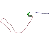 Dishevelled Associated Activator Of Morphogenesis 2 (DAAM2)