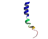 Dopamine Receptor D5 (DRD5)