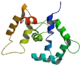 Dual Oxidase 2 (DUOX2)