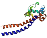 Dynein, Cytoplasmic 1, Heavy Chain 1 (DYNC1H1)