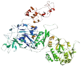 Dynein Heavy Chain Domain Containing Protein 1 (DNHD1)