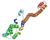 Dystrobrevin Binding Protein 1 (DTNBP1)