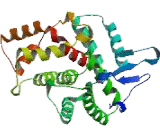 Dystrophin (DMD)