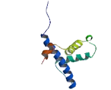 E1A Binding Protein P300 (EP300)