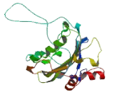 Endonuclease Domain Containing Protein 1 (ENDOD1)