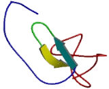 Endothelial Cell Specific Molecule 1 (ESM1)