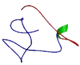 Endothelin 2 (EDN2)