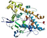 Eosinophil Peroxidase (EPX)