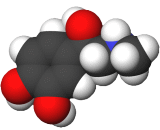 Epinephrine (EPI)