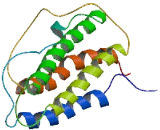 Erythropoietin (EPO)