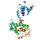 Eukaryotic Translation Initiation Factor 2 Alpha Kinase 3 (EIF2aK3)